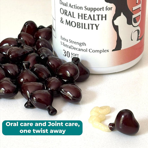1TDC WorksSoWell Dual Action Joint Supplement for Dogs & Cats - 30ct for Hip and Joint Health
