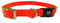 Sparky Pet Co ECollar Replacement Strap, Double Buckle Dog Collar, Rugged Nylon, Adjustable, Neon Orange