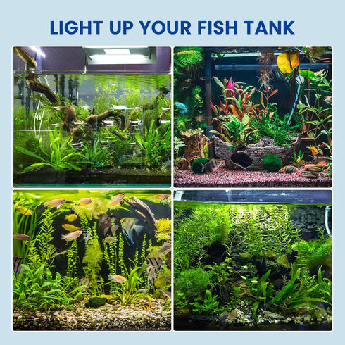 Aluxcia E26 Aquarium Light Bulbs Daylight 5500K, 2-Pack (Remove/Bypass The Ballast)