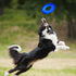 Nerf Dog 10in Enhanced Translucent TPR Tire Flyer for Medium Breeds, Blue