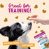 Health Extension ImpawFect Soft Baked Chew Dog Treat, Non-GMO, Hip & Joint Support, Sweet Potato, 4.5 oz