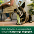 Earth Rated Enrichment Dog Toy, Natural Rubber, Dishwasher and Freezer-Safe, Small Green for Adult and Puppy Dogs