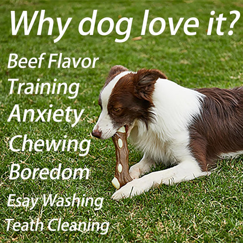 Dog Bones Chew Toys for Aggressive Chewers, 3 Pack Real Beef Flavor, Indestructible Teething Toys for All Breeds