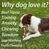 Dog Bones Chew Toys for Aggressive Chewers, 3 Pack Real Beef Flavor, Indestructible Teething Toys for All Breeds