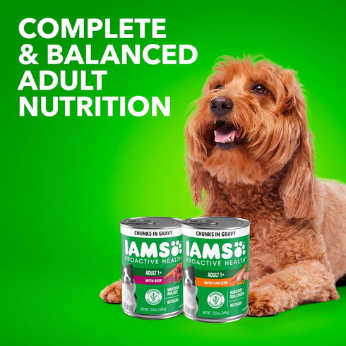 13 oz. Pack 12 IAMS Proactive Health Wet Dog Food Adult, Canned Dog Food, Chicken Chunks in Gravy and Beef Chunks