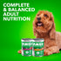 13 oz. Pack 12 IAMS Proactive Health Wet Dog Food Adult, Canned Dog Food, Chicken Chunks in Gravy and Beef Chunks