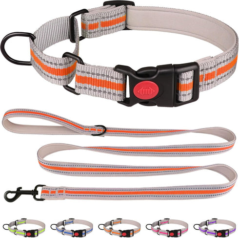 Martingale Collar for Dogs, Soft Neoprene Padded Reflective Collar and Leash Set, Safety Buckle Nylon for Puppy