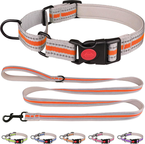 Martingale Collar for Dogs, Soft Neoprene Padded Reflective Collar and Leash Set, Safety Buckle Nylon for Puppy