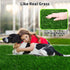 Grass Pad for Dogs, 59.1 x 39.4 inches, Soft Real Grass for Potty Training, Easy to Clean Fake Grass