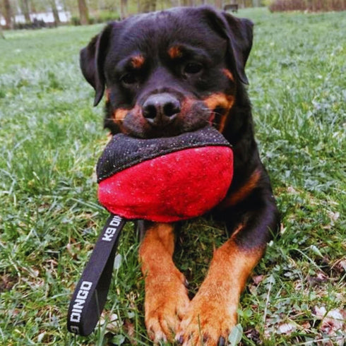 Dingo Gear Dog Tug Ball 6" - Strong Tugger, Bite Training, IGP, K9, Fun (Red S02781)