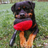 Dingo Gear Dog Tug Ball 6" - Strong Tugger, Bite Training, IGP, K9, Fun (Red S02781)