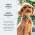FuzzYard Life Stylish Dog Collars | Size M | Premium Cotton Design in Myrtle Green for Everyday Wear