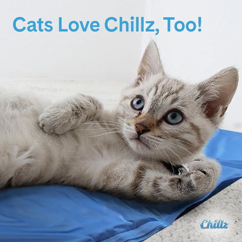 Hugs Pet Products Chillz Gel Mat, Large - Non-Toxic Pressure-Activated Cooling Pad for Pets, Ideal for Home, Travel &