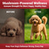 Immune WuffWell Turkey Tail Mushroom Supplement for Dogs - Support Mushrooms - Dog Mushroom Supplements for Health
