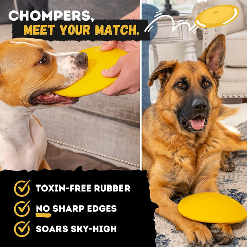 Indestructible Dog Disc, Lifetime Replacement, Heavy Duty Natural Rubber Toy for Medium & Large Breeds