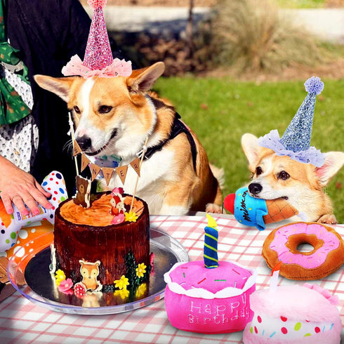 DoreenBow 5 Pack Dog Birthday Toys - Squeaky Birthday Cake Chew Toys for Small Dogs - Plush Birthday Box Gift