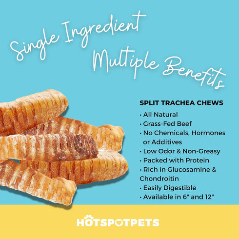 hotspot pets Premium Beef Trachea for Dogs 6" STRIPS Split - All Natural Grass-Fed Beef Dog Chews