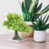 POPETPOP Artificial Aquarium Plant, Plastic Water Plant Tree for Fish Tank Bonsai Ornament and Decor