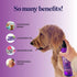 Lavender Oil Dog Deodorizing Spray, Lightly Scented Dog Spray for Smelly Dogs and Puppies with Lavender Essential Oil