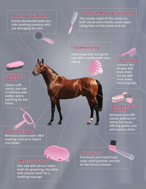 Set, 11-Piece Harrison Howard Complete Horse Grooming Advanced Daily Grooming Tools with Extra Brushes for Full Horse