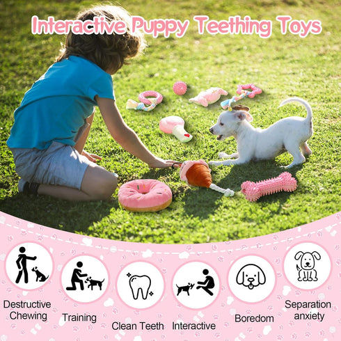 14 Pack Puppy Teething Toys - Chew Toys for Small Dogs - Pink Dog Stuff with Soft Rubber Balls and Colorful Ropes