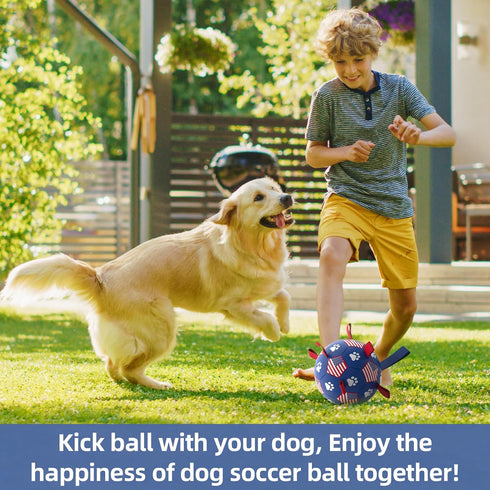 QDAN Purple Soccer Ball Dog Toy with Straps - Durable 6 Inch Beach Pool Water Toy for Small Medium Dogs