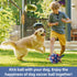 QDAN Purple Soccer Ball Dog Toy with Straps - Durable 6 Inch Beach Pool Water Toy for Small Medium Dogs