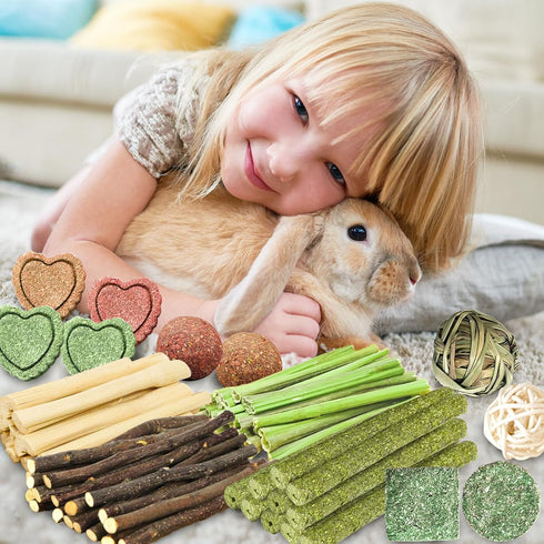 Chinchilla (60PCS) Chew Treat Rabbit Toys for Teeth Health, Natural Bunny Enrichment Toys for Boredom & Stress Relief