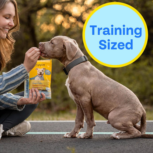 Fish & Sweet Potato Dog Training Treats (5oz, 1-Pack) | Natural Low-Fat, Grain-Free, Made in The USA