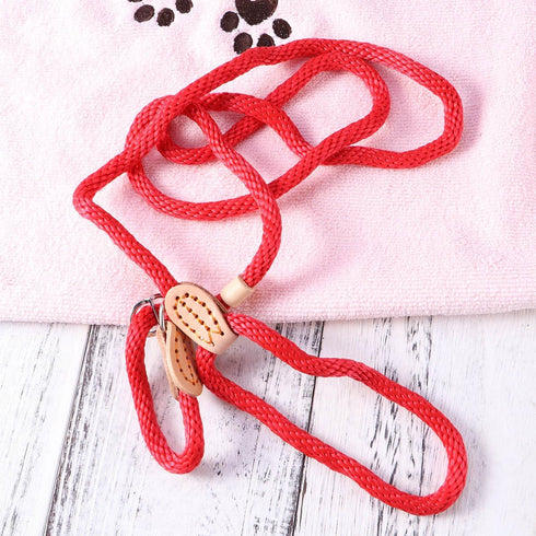 POPETPOP Nylon Dog Slip Training Leash Collar Rope for Pets, Red