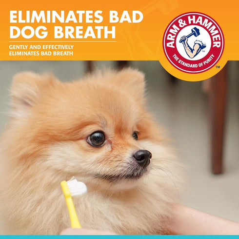 Arm & Hammer for Pets Dental Enzymatic Toothpaste, 2.5 Ounce, Chicken Flavor, Safe for All Dogs