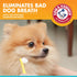 Arm & Hammer for Pets Dental Enzymatic Toothpaste, 2.5 Ounce, Chicken Flavor, Safe for All Dogs