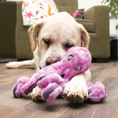 KONG SoftSeas Turtle Dog Toy, Small
