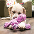 KONG SoftSeas Turtle Dog Toy, Small
