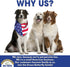 (7" 16 OZ) Dog Chews Beef Trachea Dog Treat Chew Made in USA. Grass Fed Farm-Raised American Beef. Glucosamine Rich