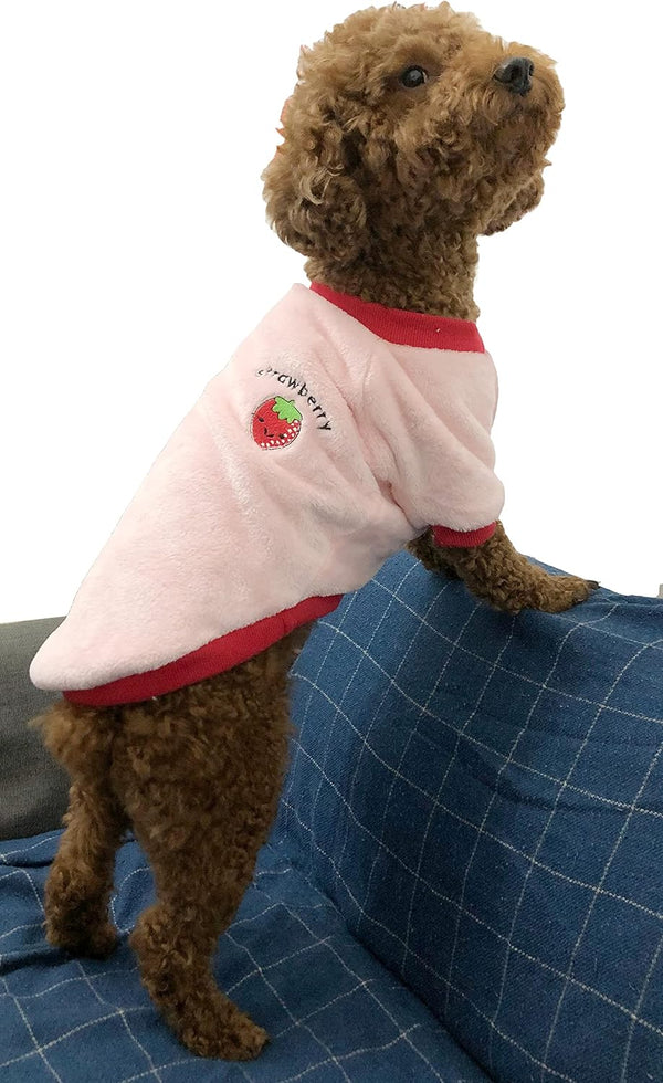 Puppy Dog Clothes Winter Sweater in Medium Strawberry, Flannel Velvet Pet Cat Cute Fruit Fleece for Small Dogs