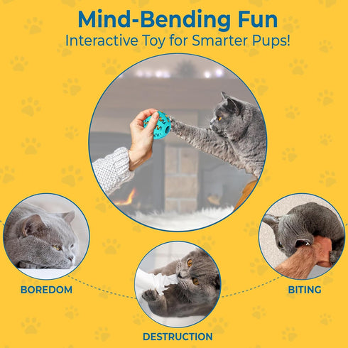 SunGrow 2-Pack Dog Treat Balls, Interactive Puzzle Food Dispensers for Small Dog Training, Mental Stimulation