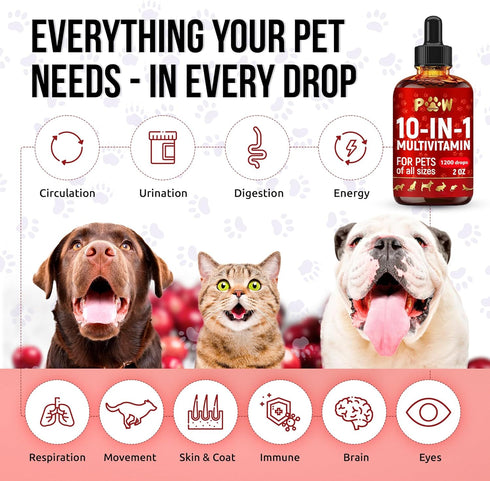 D3 2 oz Liquid Multivitamin for Dogs with Glucosamine Help with Allergies & UTIs Dog Vitamins and Supplements Cat