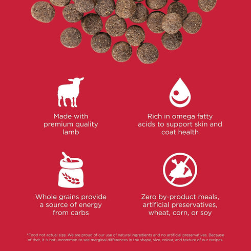 GO! SOLUTIONS Skin + Coat Care Dry Dog Food, 12 lb, Lamb Recipe with Grains