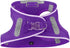Light Up Dog Harness,Rechargeable LED Dog Harness for Small Medium Large Dogs,Reflective Lighted Safety Vest for Night