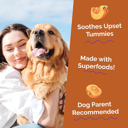 Packed 15 oz Fruitables Pumpkin Digestive Supplement, Made with Pumpkins for Dogs, Healthy Fiber Supplement for Pet