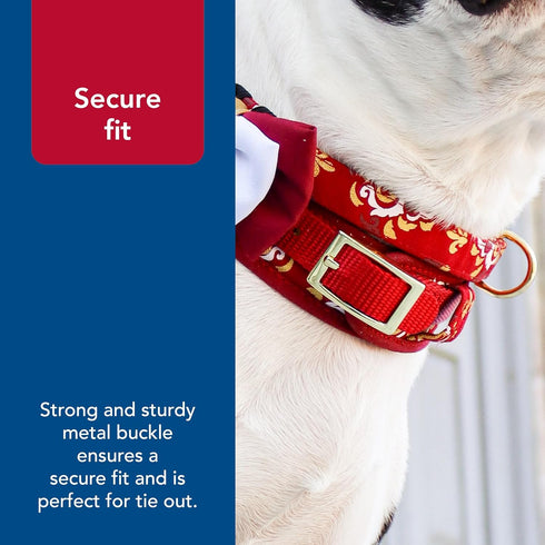Coastal Pet Accent Metallic Adjustable Dog Collar, Comfortable with Sturdy Metal Buckle, Royal Burgundy Crowns, 5/8" x