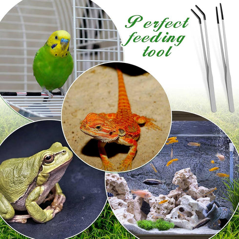 2 Pcs Extra Long Stainless Steel Reptile Feeding Tongs, Bearded Dragon Aquarium Straight and Curved Long Tweezer