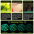200pc Luminous Glow Stones, Glow in The Dark Rocks for Aquarium, Potted Plant, Outdoor Decor (Green)