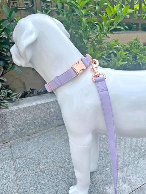 Dog Collar and Leash Set - Soft Vegan Leather with Rose Gold Metal Buckle for Small, Medium, and Large Dogs (Light