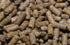 1LB 2.4mm Wpc-Co. Sinking Pellets for Freshwater Bottom Feeders, Shrimp & Snails Aquarium Food for Corydoras, Loaches