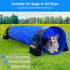 10 2 Pack 4 Dog Agility Training Equipment Tunnel:JOPAVO Foot Agility Tunnel with Sandbags, Carry Bag and Ground