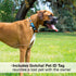 Max & Molly Summertime Dog Collar, Soft Adjustable Waterproof Collar with Safety QR Code Tag, Cute Designs for Small