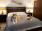 SILLY LEGACY Thin Reversible Waterproof Cover or Liner for Bed or Couch, for Dogs and Cats, Queen 82 x 82, Gray