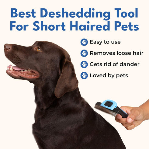 Deshedding Brush for Short Haired Dogs & Cats, Highly Effective Grooming Comb for Shedding Short Hair